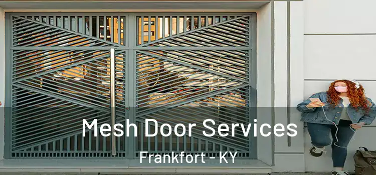 Mesh Door Services Frankfort - KY